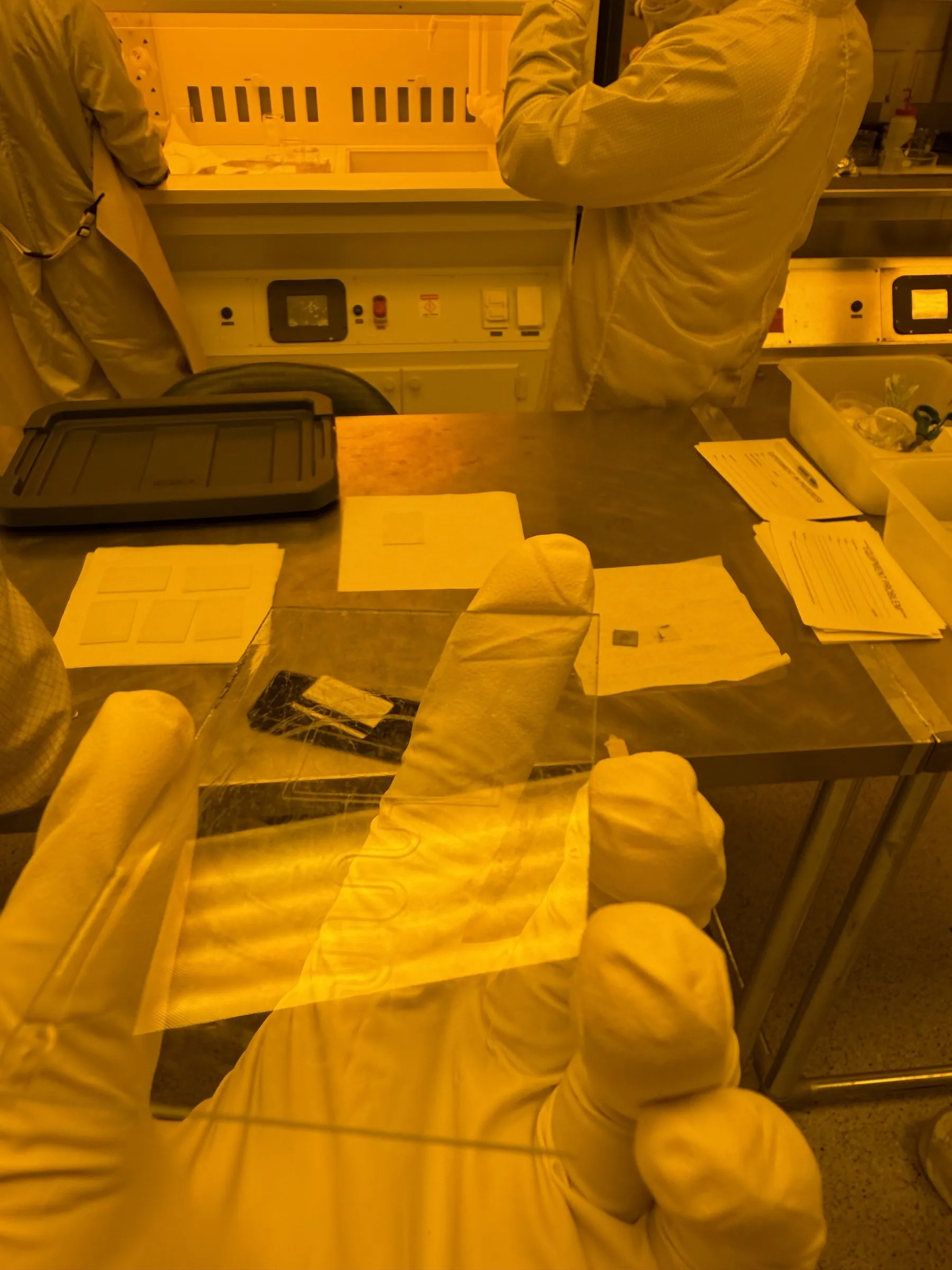 Gloved hand holding a glass slide in the cleanroom