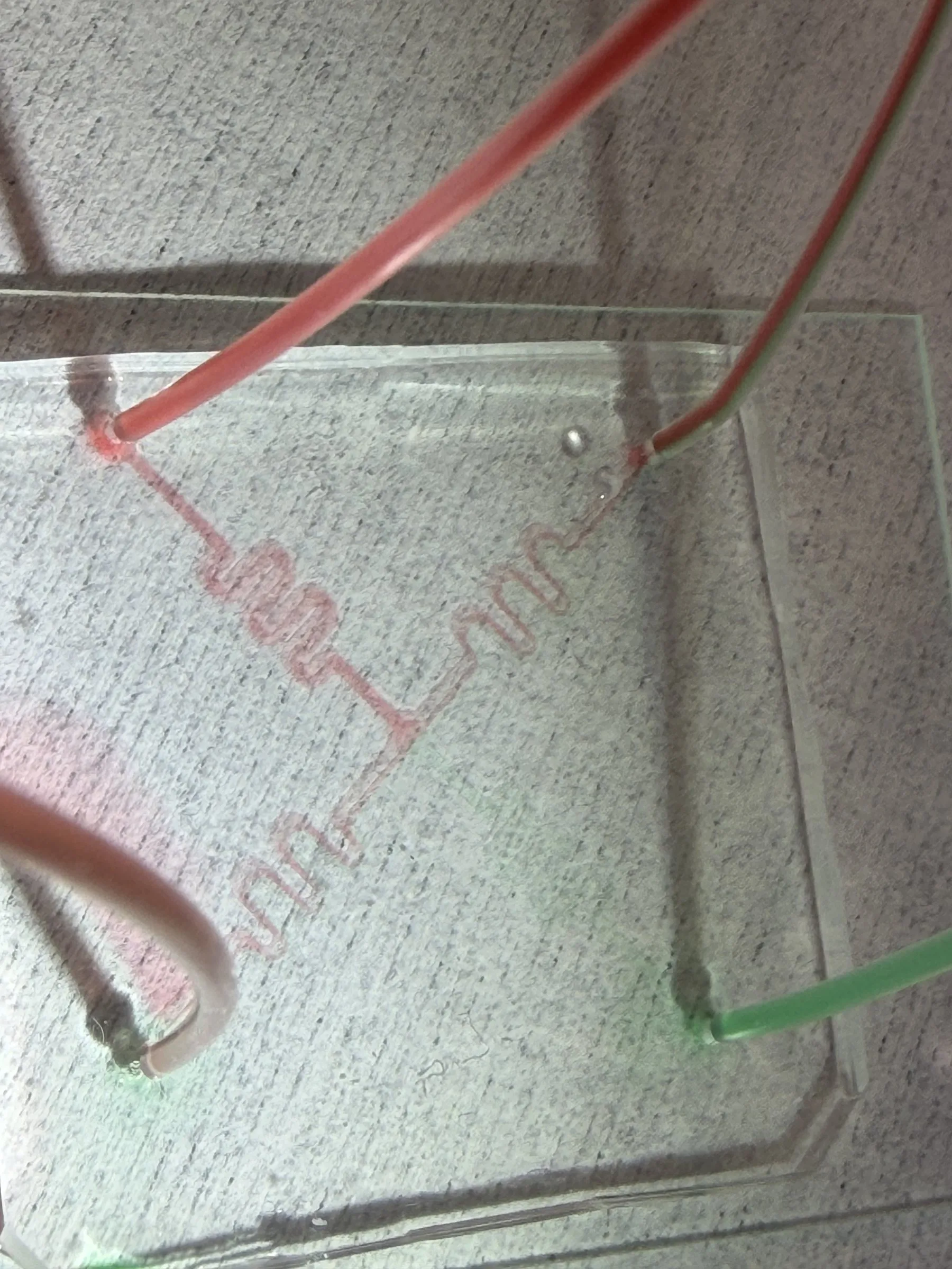 A PDMS microfluidic chip with red dye in serpentine channels and tubing attached